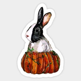 Dutch Bunny Pumpkin Sticker